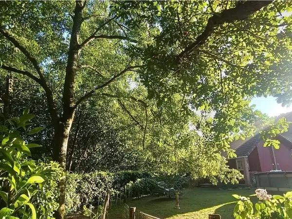 Casa o chalet independiente en Calle de los Indianos, 28 - Foto 17