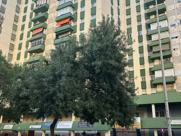 Piso en Calle del Mar, 6, Parque Atlántico - Ronda este - Foto 1