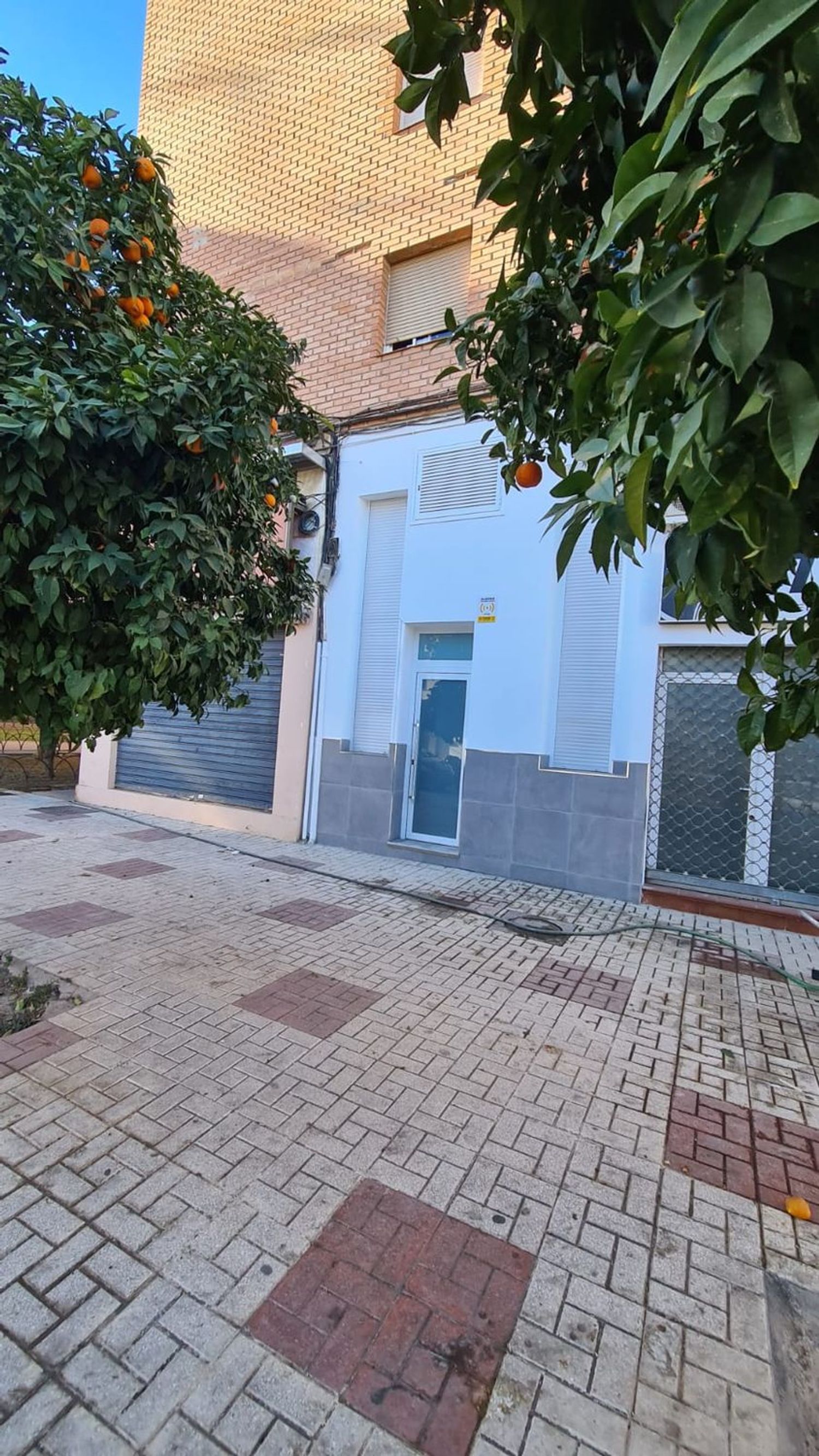 Estudio en Calle Cristino Martos, 13 - Foto 3
