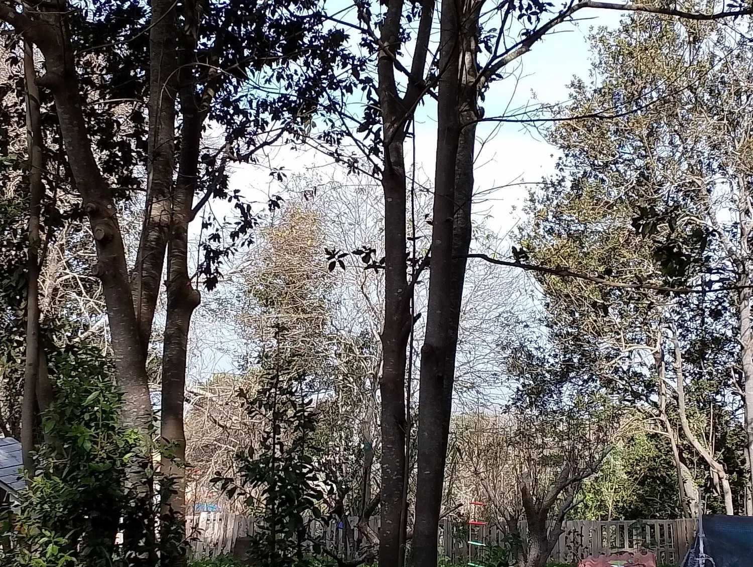 Finca rústica en camino el Laurel, 5555 - Foto 20