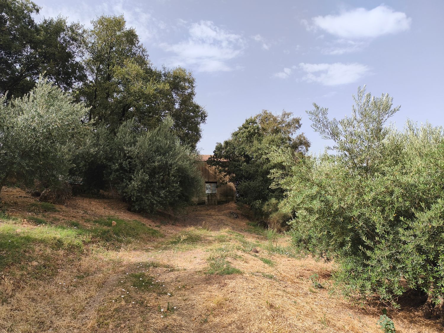 Finca rústica en Las veredas s/n s/n - Foto 7