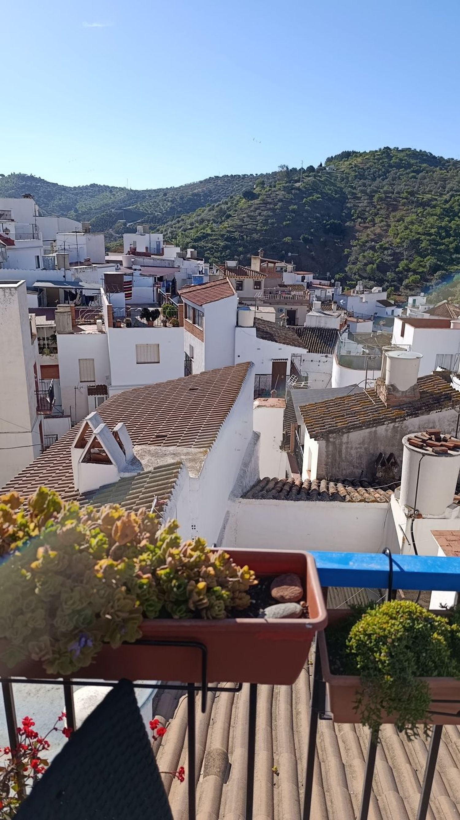 Casa o chalet independiente en Arenas - Foto 3