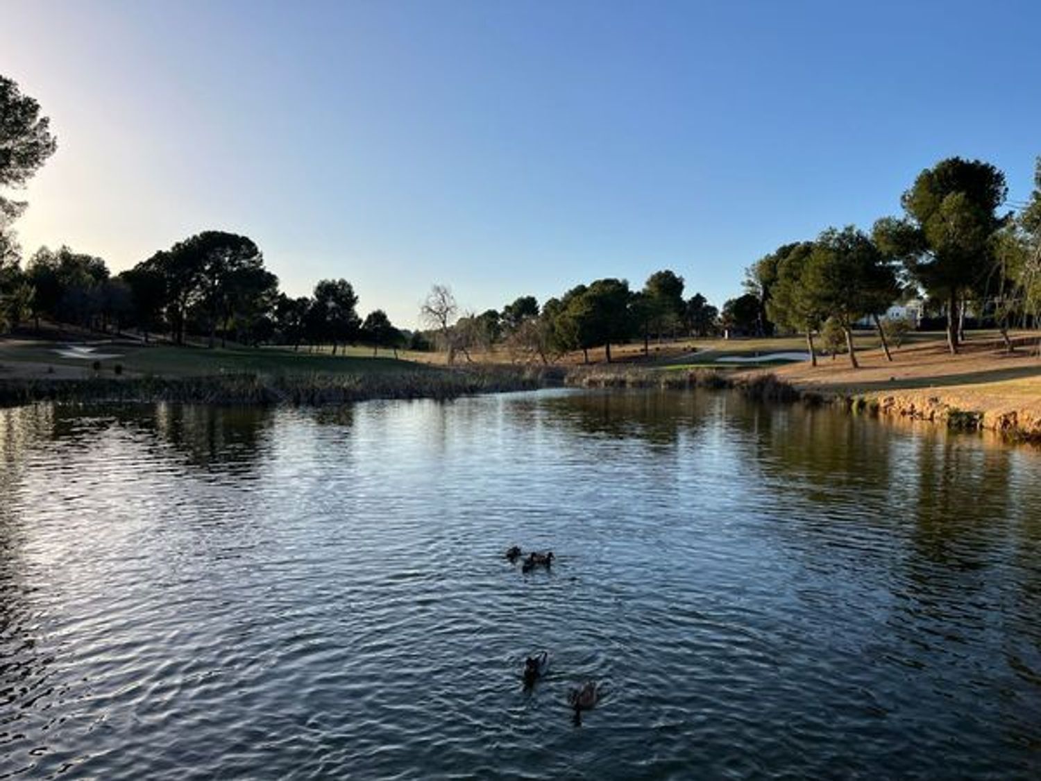 Piso en Urb El Bosque , 120, El Bosque, El Bosque - Foto 25