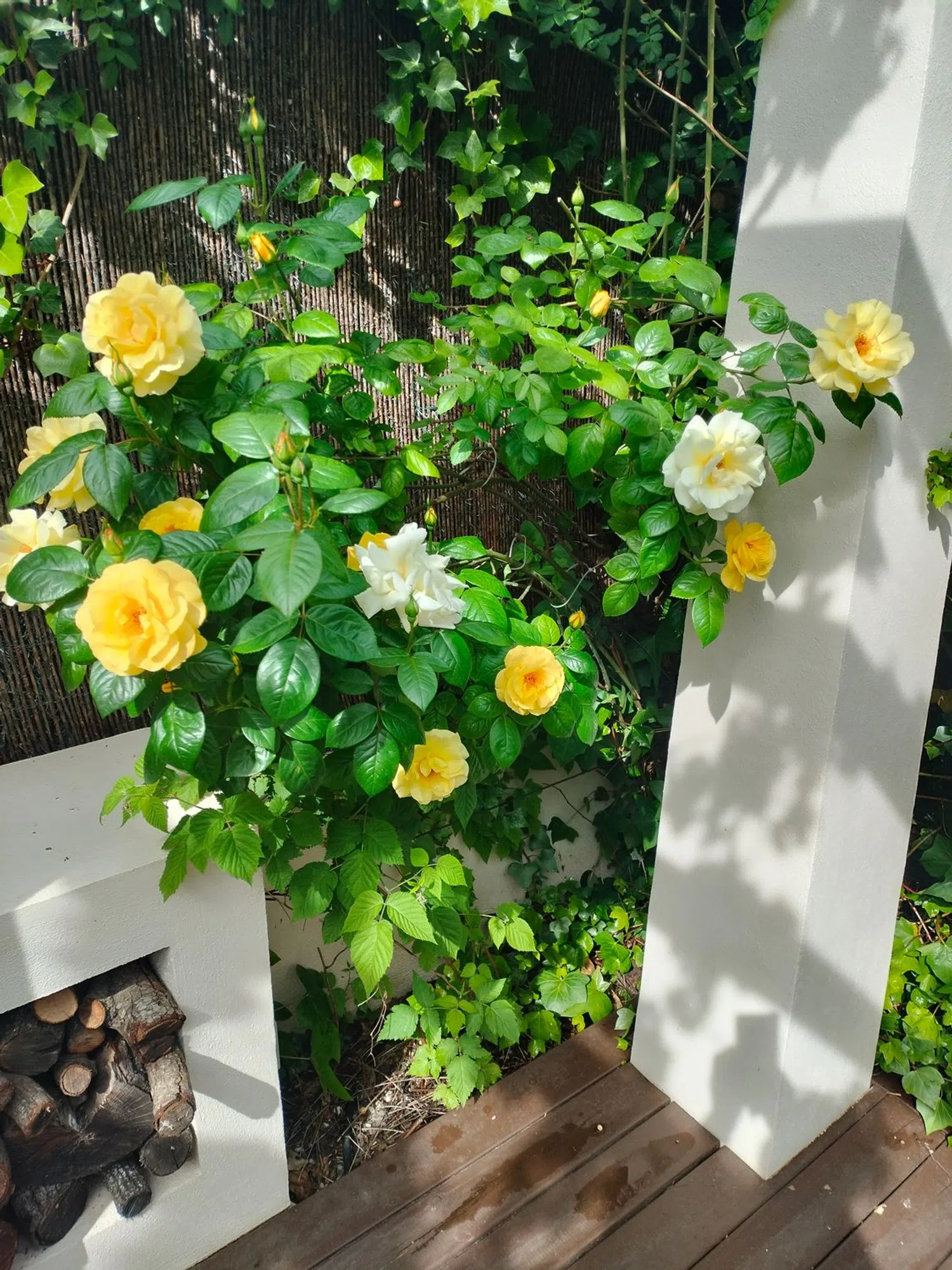 Chalet adosado en calle Platón, 79 - Foto 34