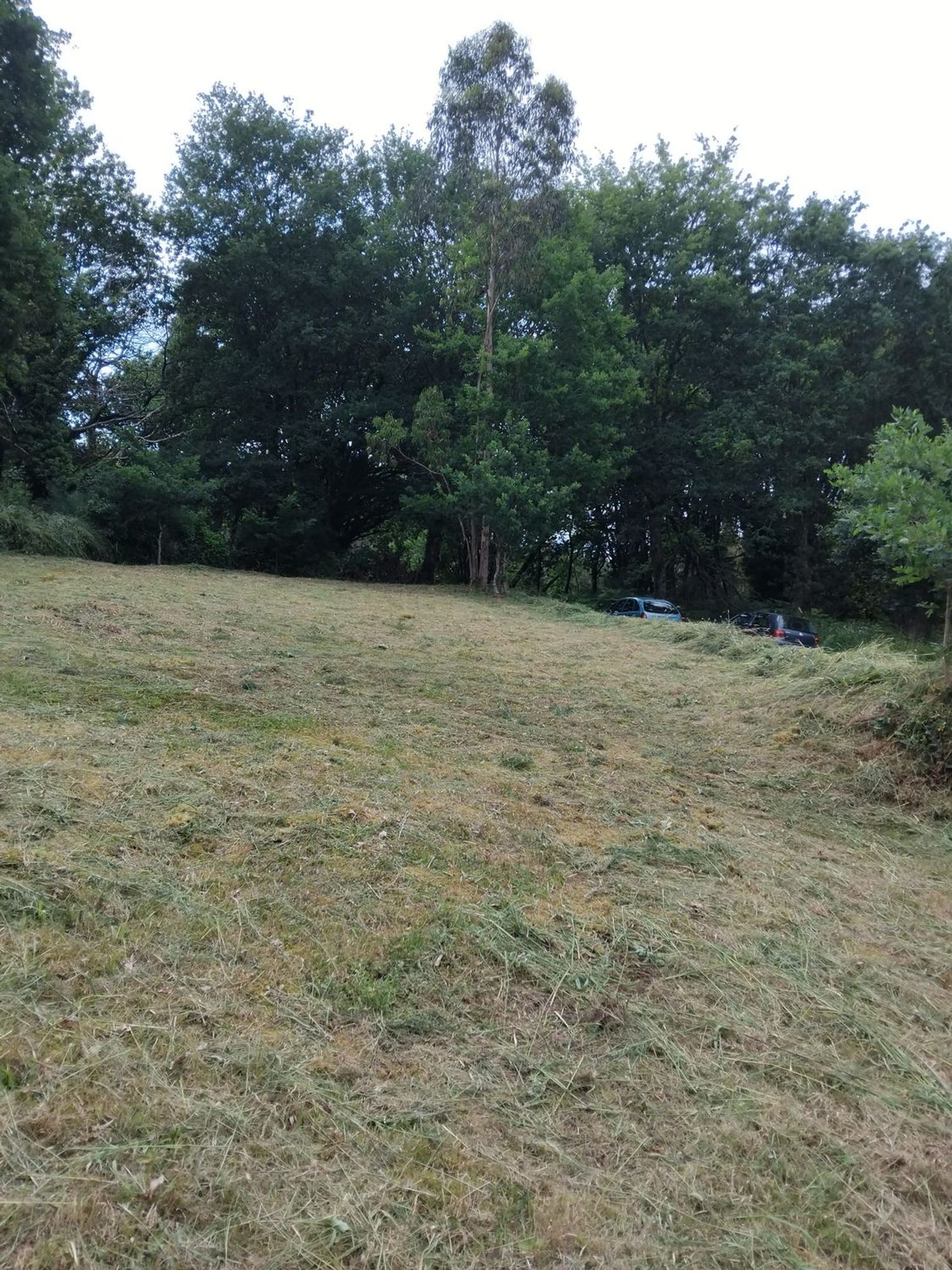 Casa rural en Setefontes s/n - Foto 14