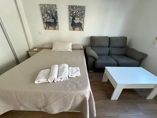 Estudio en Calle Fernández Alarcón, Camino de Antequera - Foto 4