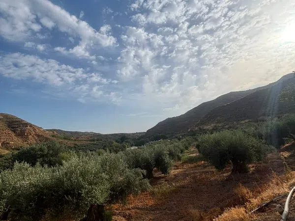 Cortijo en Cortijo en Carretera de Belerda s/n - Foto 14
