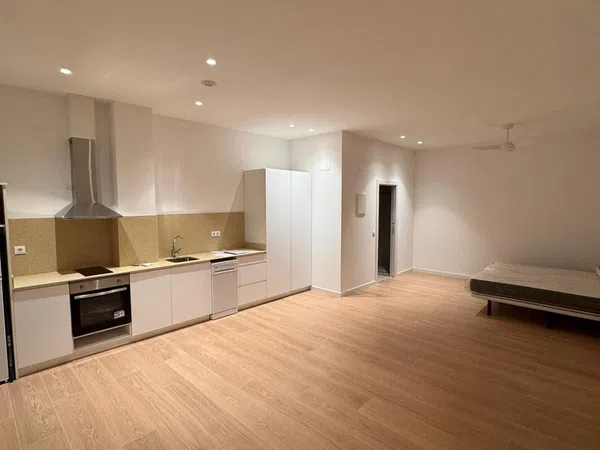 Estudio en calle de Sant Jacint Castanyeda, 22 - Foto 13