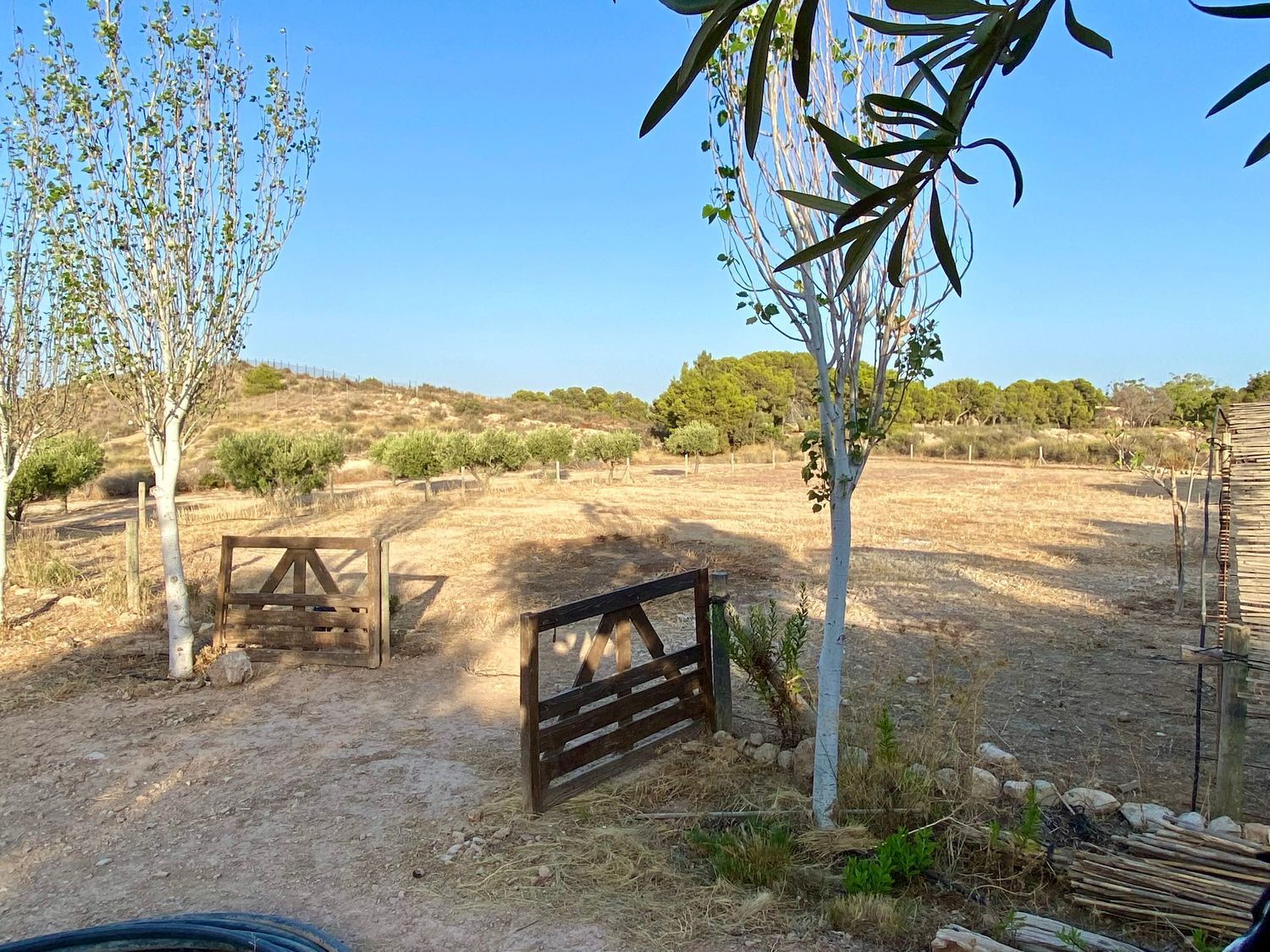 Finca rústica en Paraje Cucuch s/n - Foto 33