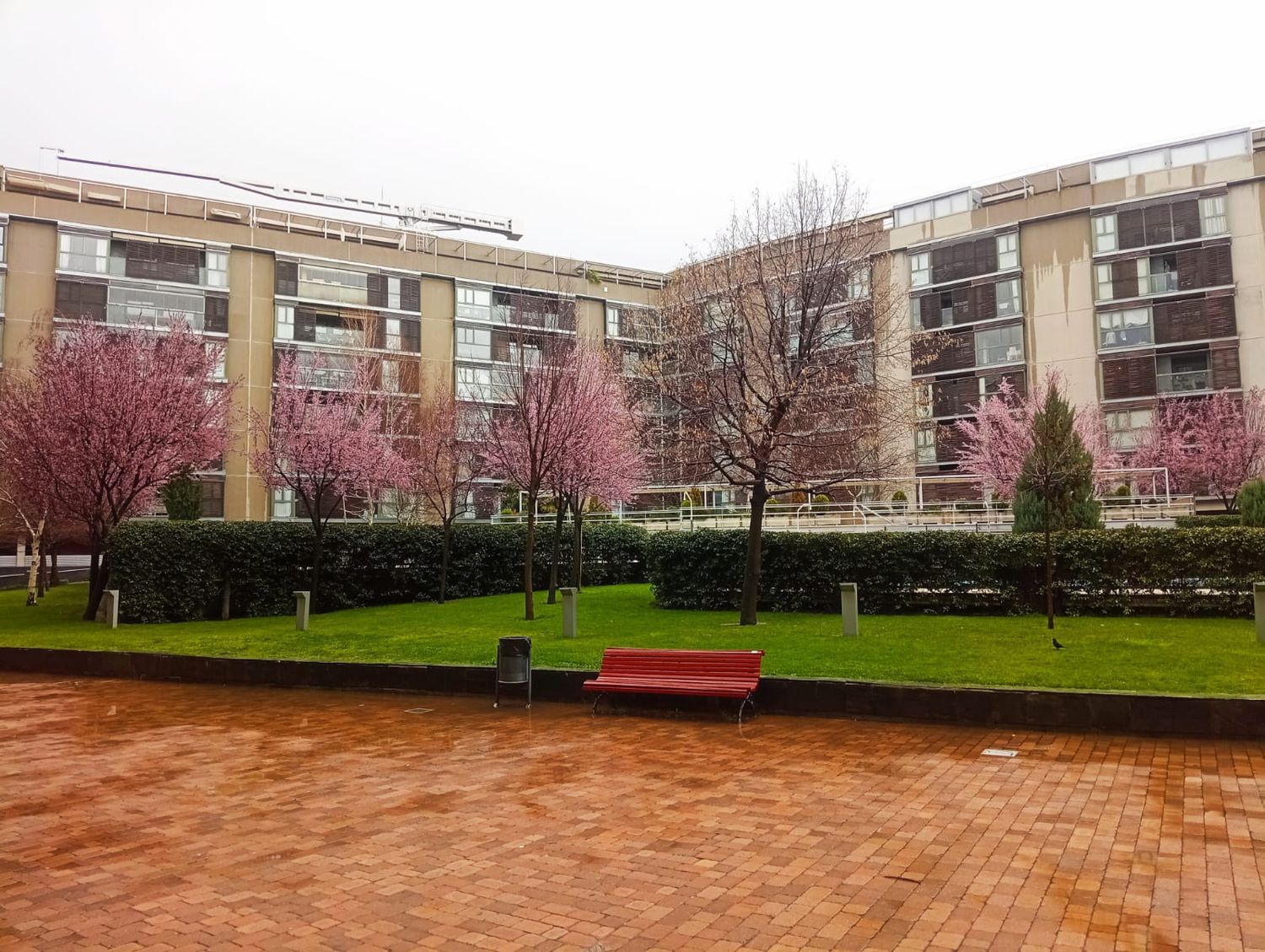 Piso en avenida del Camino de Santiago, 45 - Foto 5