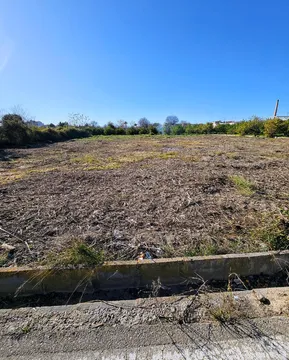Terreno Residencial en  Camino de la Olma 28 - Foto 4