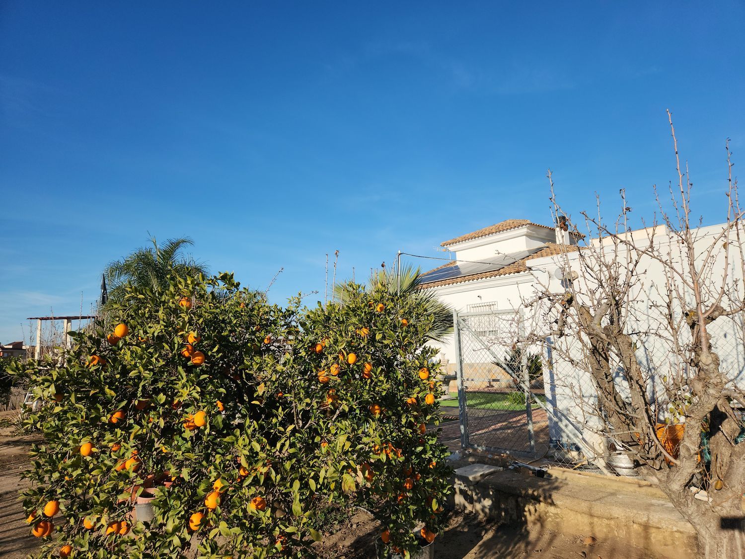 Casa independiente en calle Independencia, 10 - Foto 2