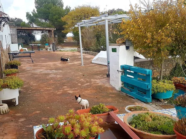 Casa rural en Diseminado Salinas, 520 - Foto 4