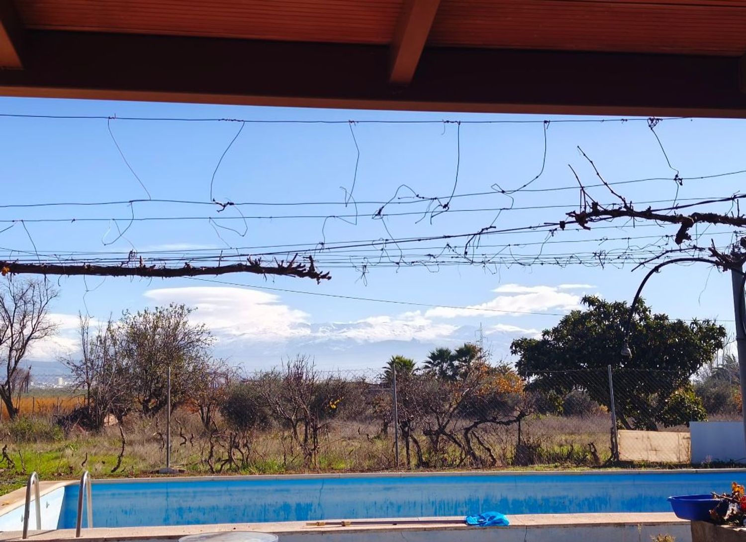 Cortijo en Calle Océano Antártico s/n - Foto 3