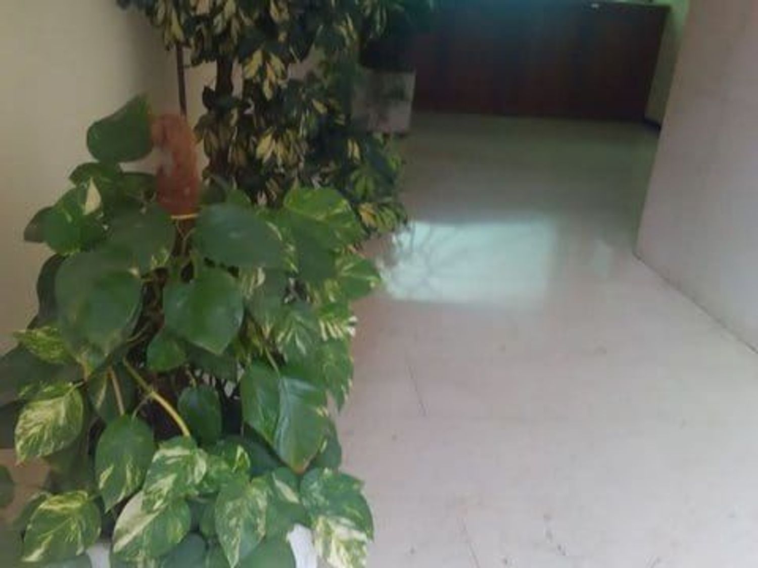 Piso en calle de Azcona, 58 - Foto 2