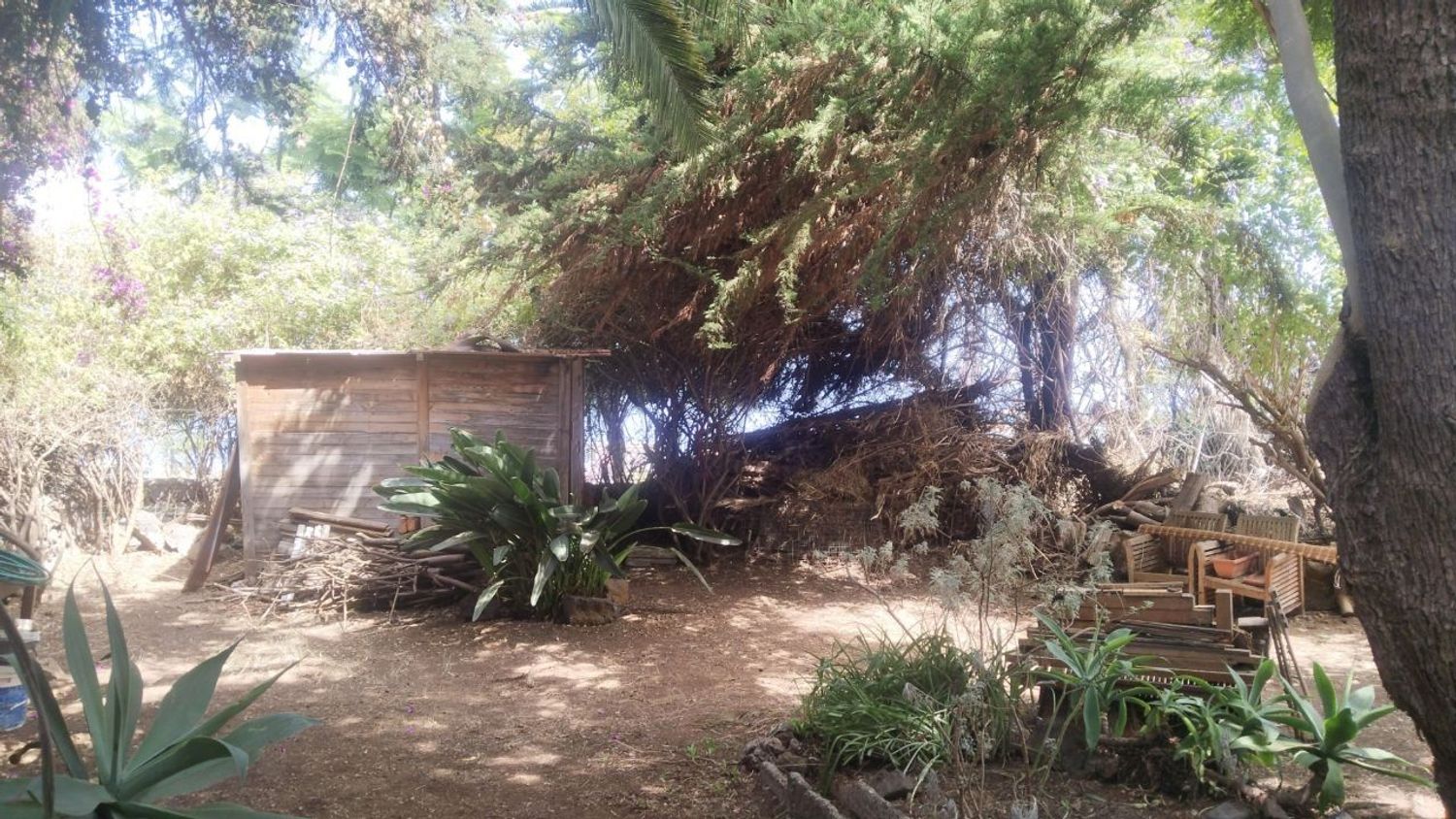 Finca rústica en Carretera Enlace el Ramal, 18 L, Centro, Centro - Foto 7