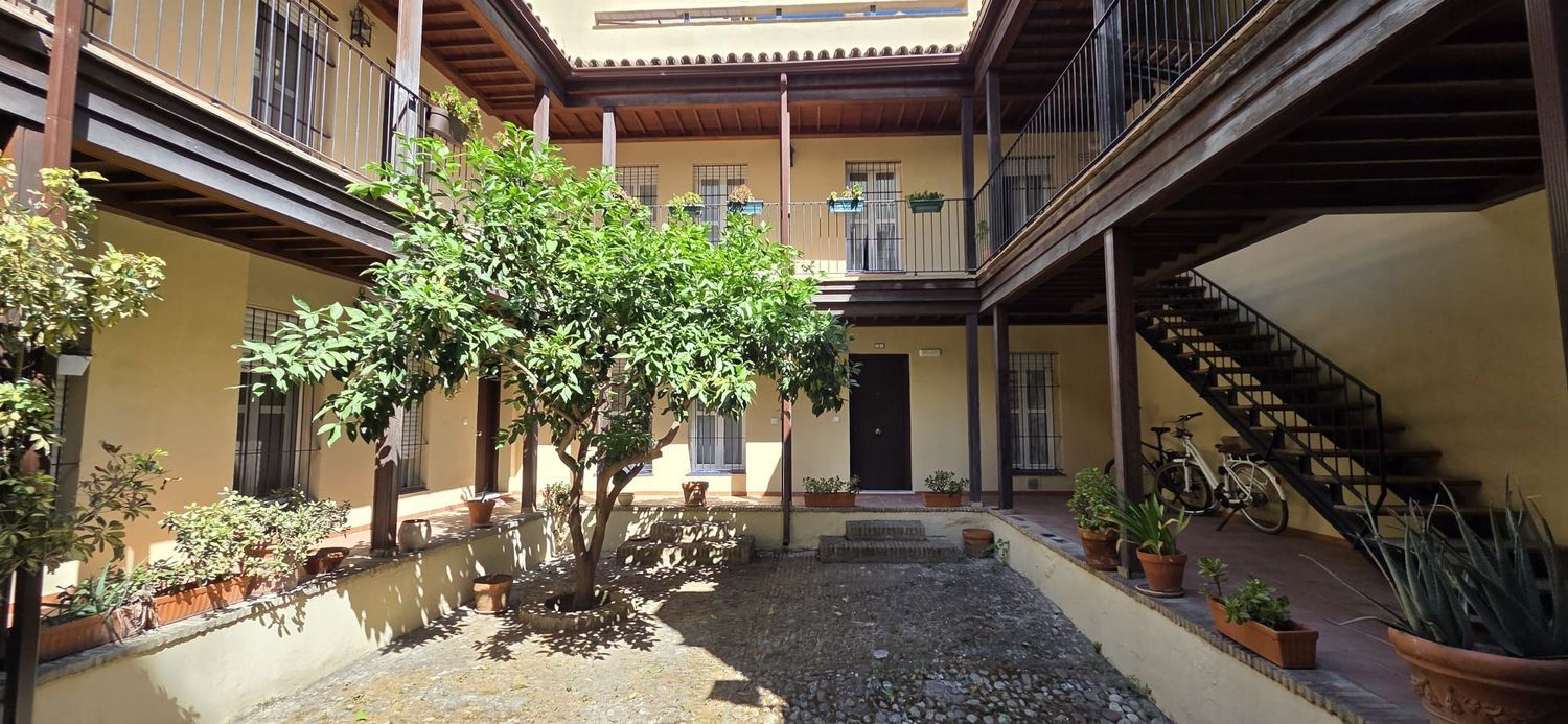 Dúplex en Calle San Jacinto, 28, Calle Betis - Pagés del Corro - Foto 4