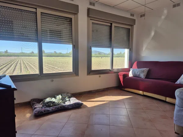 Chalet pareado en Camino Viejo de Almoradi, 29, Molins-Campaneta-San Bartolomé, Molins-Campaneta-San Bartolomé - Foto 9