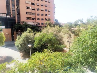 Piso en  Carrer Doctor José Luis de la Vega 2 - Foto 4