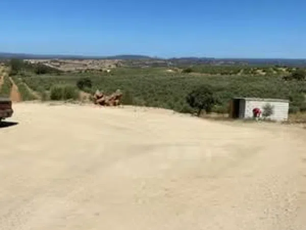 Finca rústica en Carretera Constantina, 4 Fincarusticaenctraconstantinakm - Foto 4