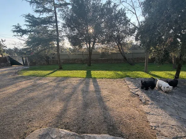 Casa o chalet independiente en La Berzosilla, La Berzosilla - Foto 4