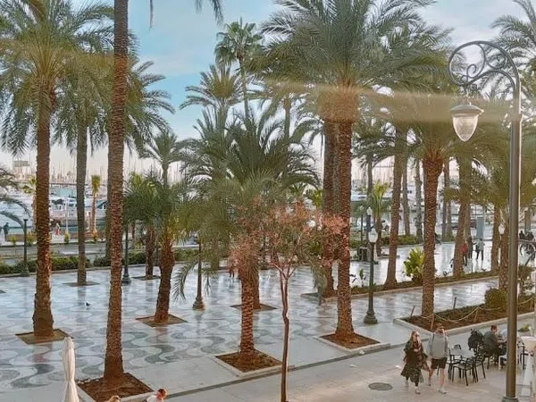 Estudio en Barrio Casco Histórico-Santa Cruz - Foto 19