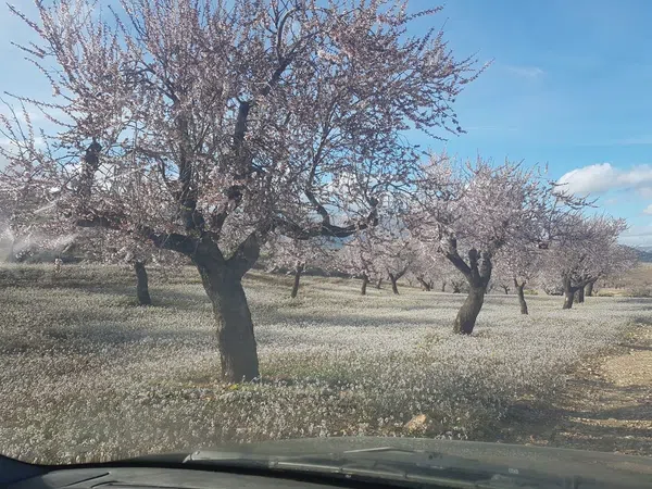 Cortijo en Cortijo en Al-7101, 1 - Foto 8