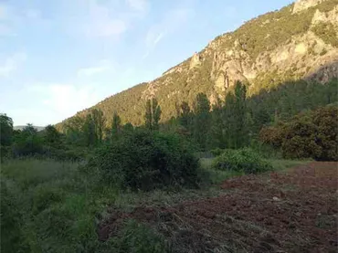 Chalet en río madera de arriba Albacete. - Foto 9