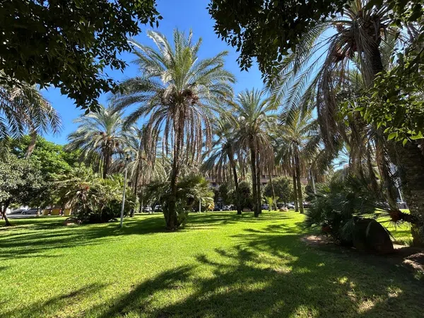 Ático en calle Dolores Ibárruri, 1 p - Foto 14