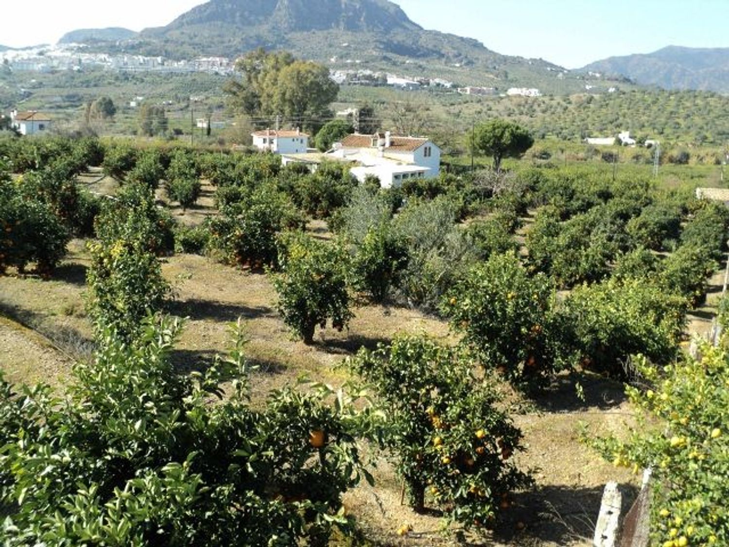 Casa rural en La Gavia, 5 - Foto 21