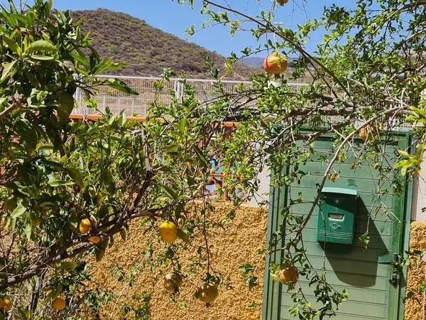 Chalet adosado en Calle Mencey Anaga, 15, Las Chafiras, Las Chafiras - Foto 13