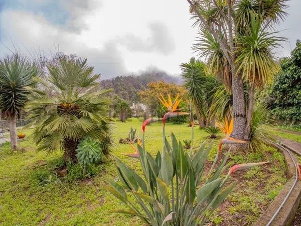 Casa o chalet independiente en Calle de Los Cominos, 63, El Bebedero - Pinolere - Aguamansa, El Bebedero - Pinolere - Aguamansa - Foto 2