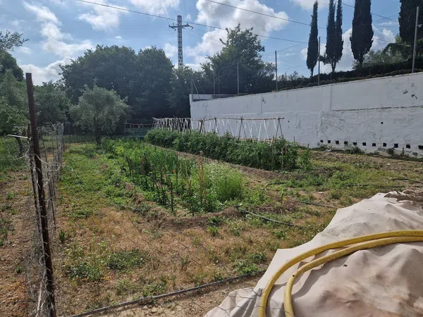 Finca rústica en Calle l'Alqueria d'Asnar, 3 - Foto 8
