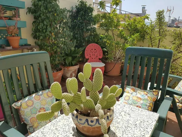 Ático en calle Rojas, 10 - Foto 12