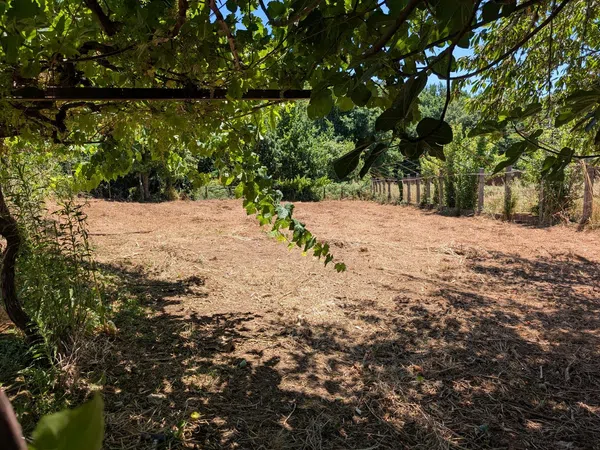 Finca rústica en Vilar da Ponte, 21 - Foto 5