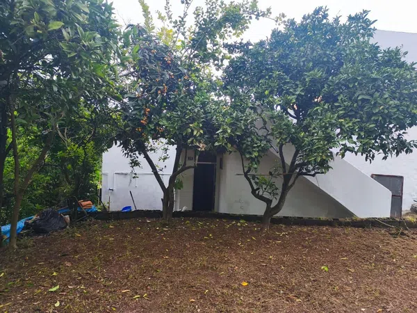 Finca rústica en Camino el Brezal, 28 - Foto 7