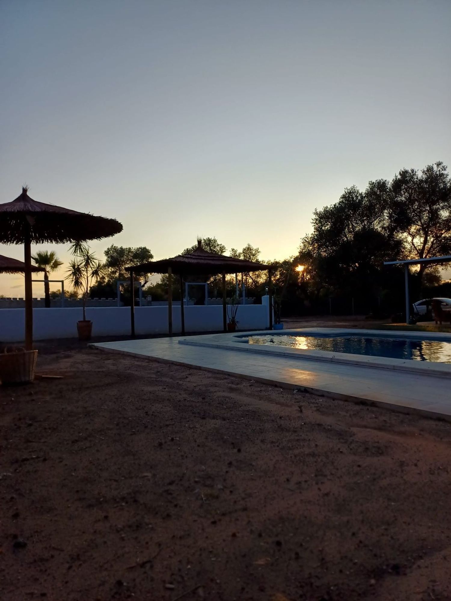 Finca rústica en Coria del Río - Foto 4