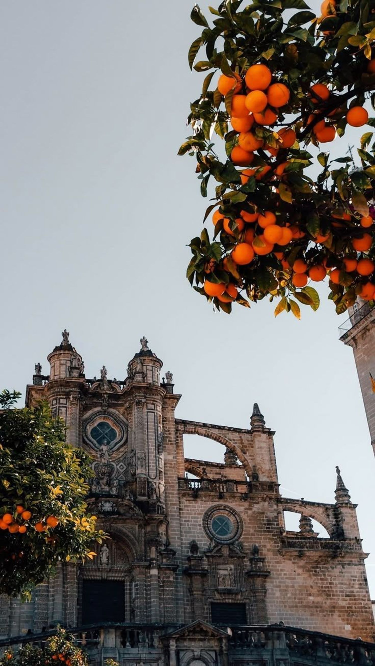 Piso en Barrio Centro - Foto 18