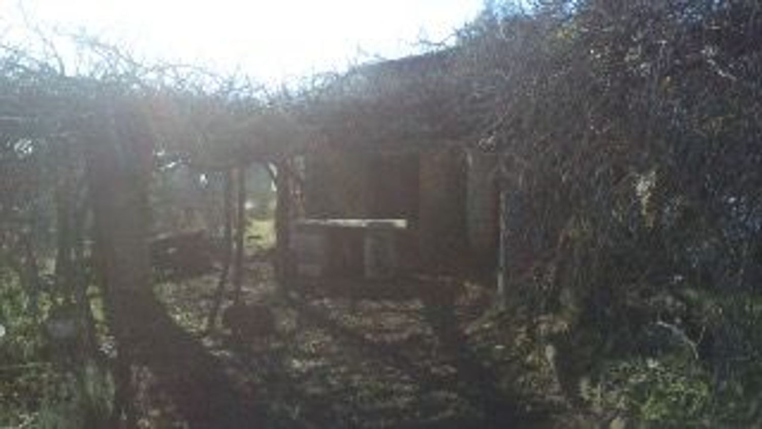 Finca rústica en Las Planas s/n - Foto 27