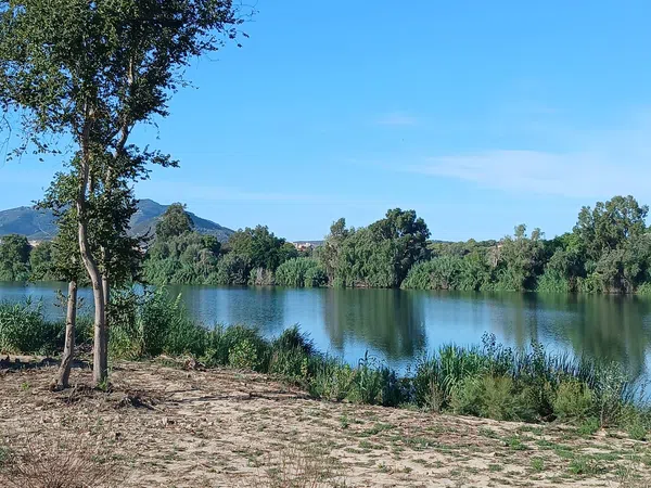 Masía en Masía en Camino salva-aigües, 96, Urbanizaciones, Urbanizaciones - Foto 30