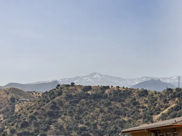Piso en Paseo de las Palmas, 114, Ctra Sierra - Acceso Nuevo Alhambra, Ctra Sierra - Acceso Nuevo Alhambra - Foto 32