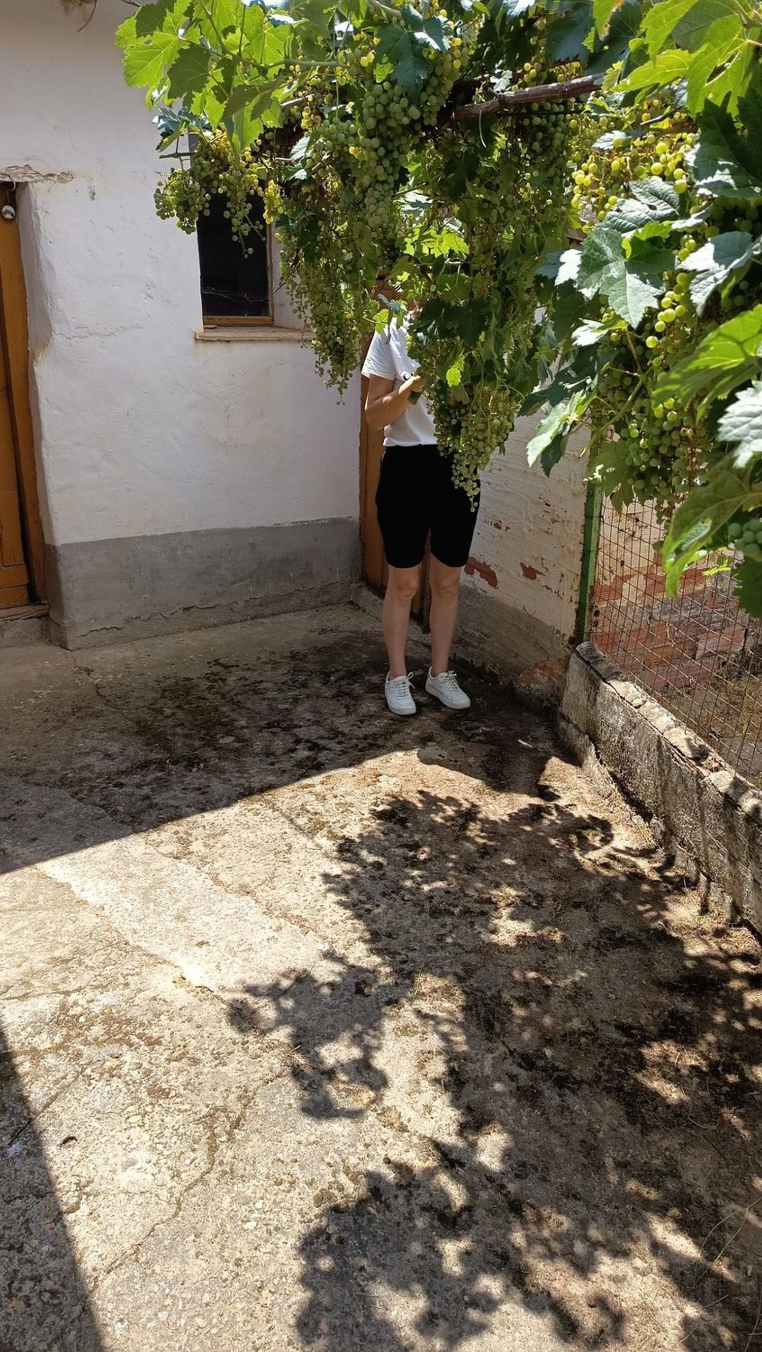 Casa de pueblo en Calle de la Cantera, 13 - Foto 22