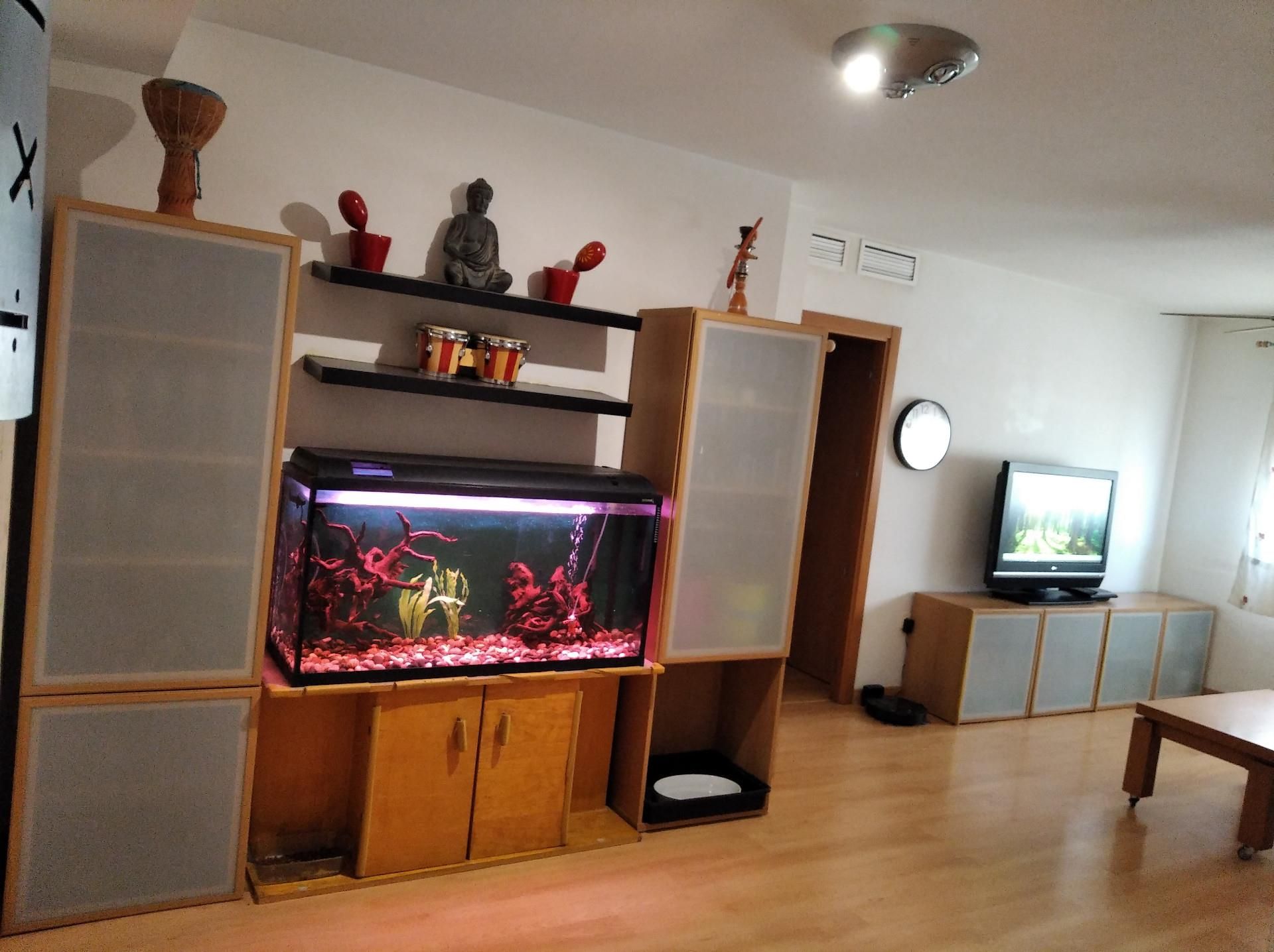 Piso en  Calle Poeta Eloy Sánchez Rosillo