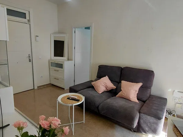 Estudio en Calle de Santa Isabel, 50, Lavapiés-Embajadores - Foto 1