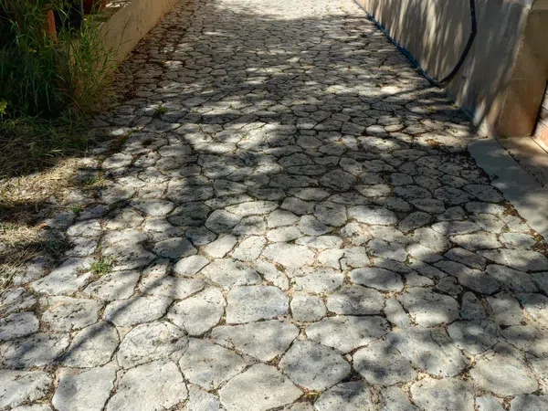 Finca rústica en Camino dels Reis, 477 - Foto 4