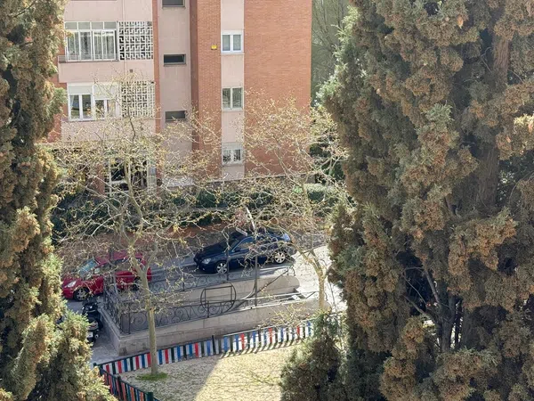 Piso en calle Moguer, 2 - Foto 9