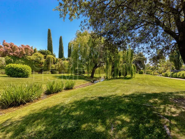 Casa o chalet independiente en Paseo del Río, 4, La Finca - Foto 55