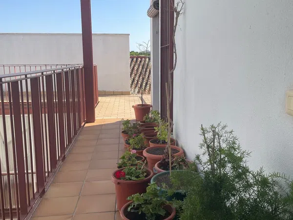 Ático en Calle Francos, 36, Centro - Foto 2