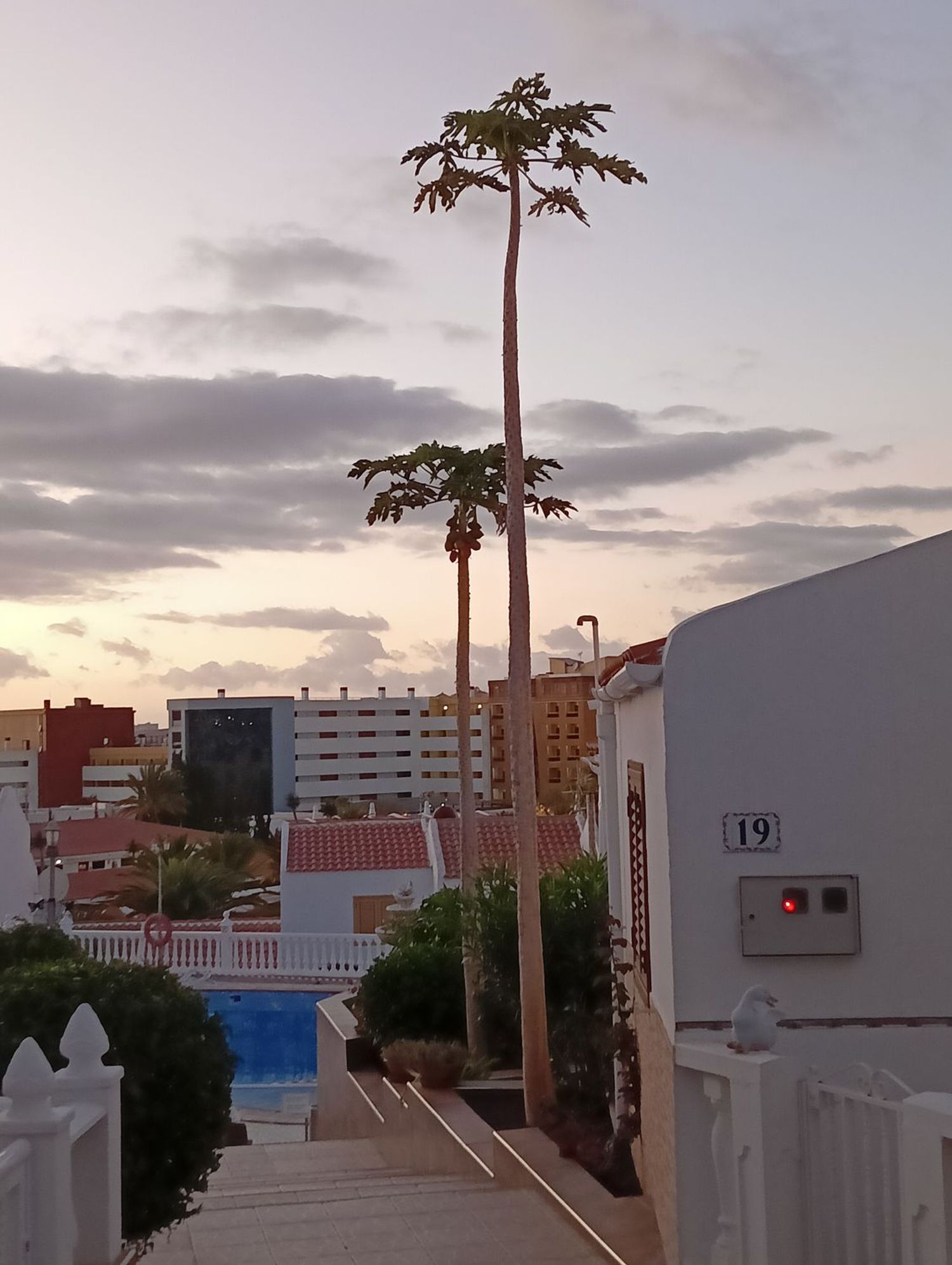 Piso en Avenida de los Pueblos, 33, San Eugenio Bajo - Foto 20