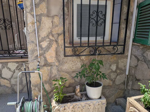 Chalet adosado en Calle de Jordi Martí Rosselló, 8, Camp Redo - Foto 32